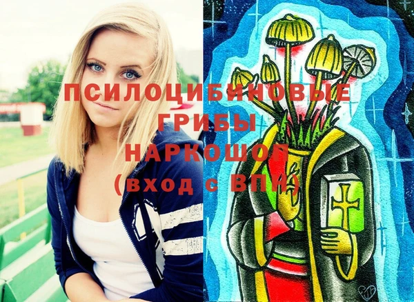 молекула духа Верея
