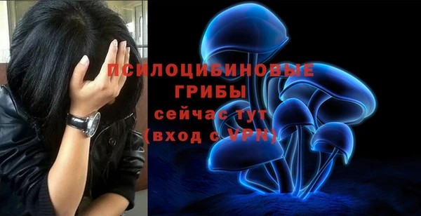 молекула духа Верея